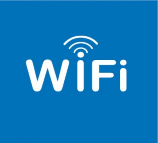 PICTO ZONE WIFI 1F