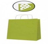 PAQ 50 SACS 25x11x31 KRAFT VERT LIME