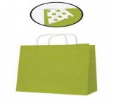 PAQ 50 SACS 18 x 8 x 21 KRAFT VERT LIME