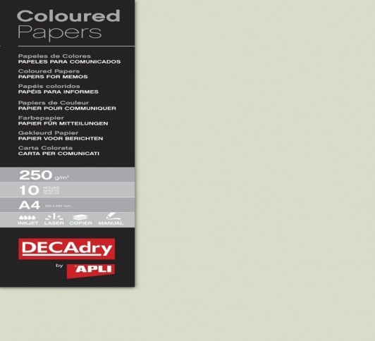 B.PAPIER COULEUR GRIS ARGENT 250G 10F